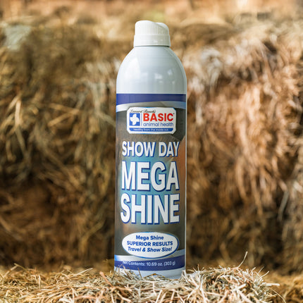 Mega Shine