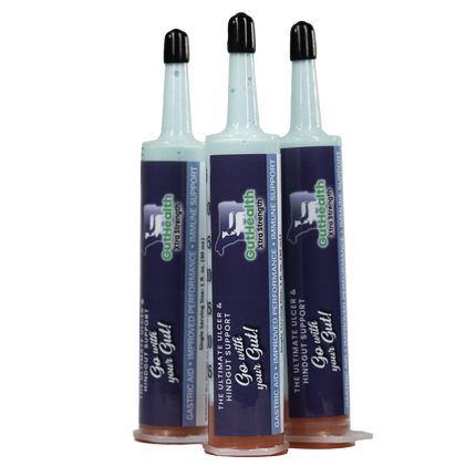 GutHealth Xtra Strength Gel - 3 Pack