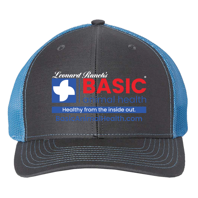 Basic Logo Richardson 112 Hats