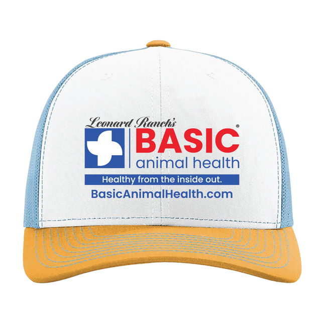 Basic Logo Richardson 112 Hats